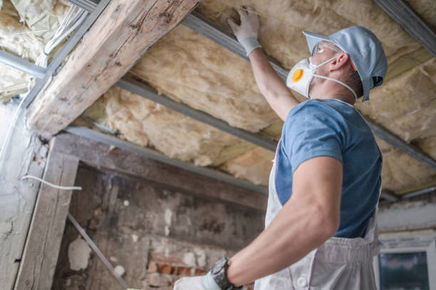 Best Insulation Maintenance and Repair in Newberry, SC