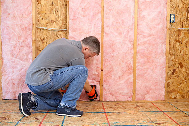 Best Eco-Friendly Insulation in Newberry, SC
