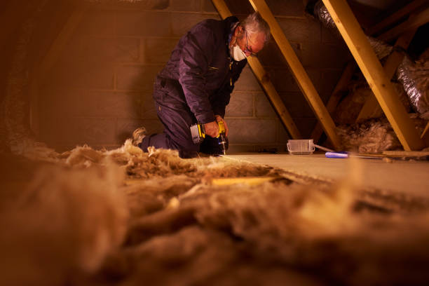 Best Residential Insulation in Newberry, SC