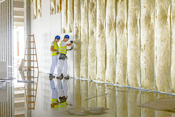 Best Commercial Insulation in Newberry, SC